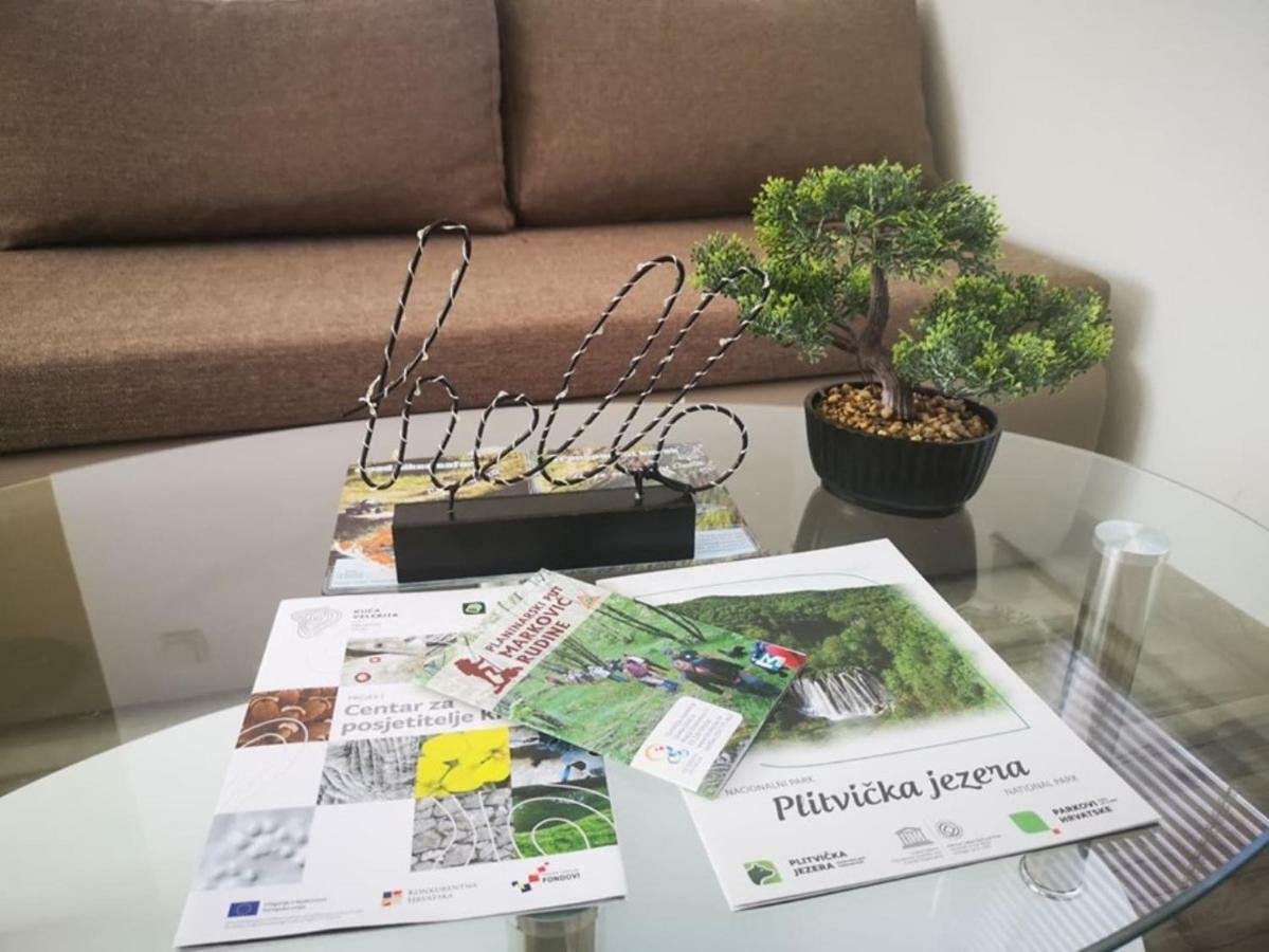 Apartman Borna Otočac Εξωτερικό φωτογραφία
